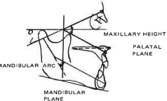 Manual Illustration